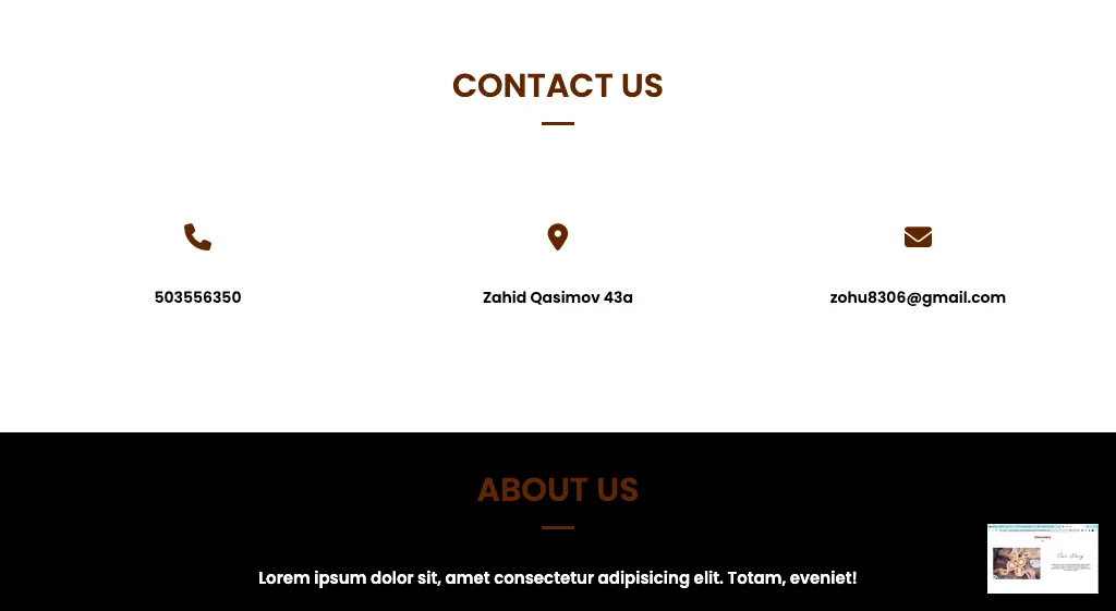 Website hazirlamaqda