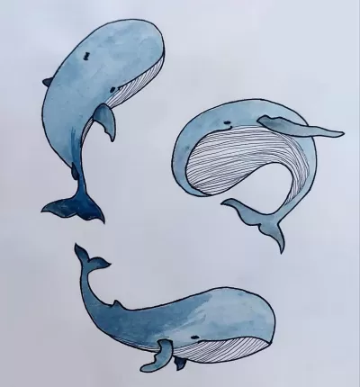 İllustrasiya dizayn