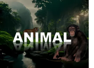 PowerPoint presentation