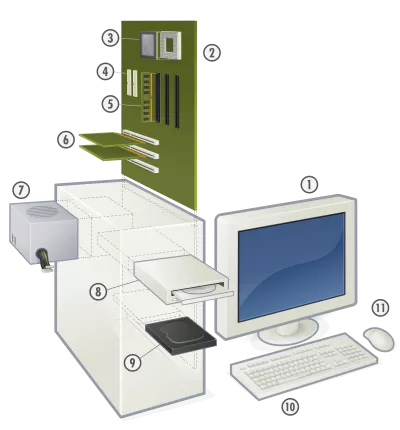 Əsas kompüter bilikləri üzrə kurs