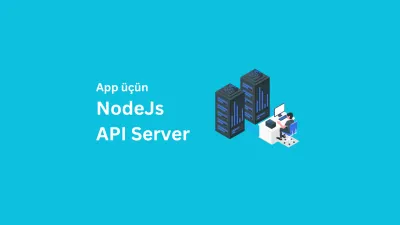 Web API Server